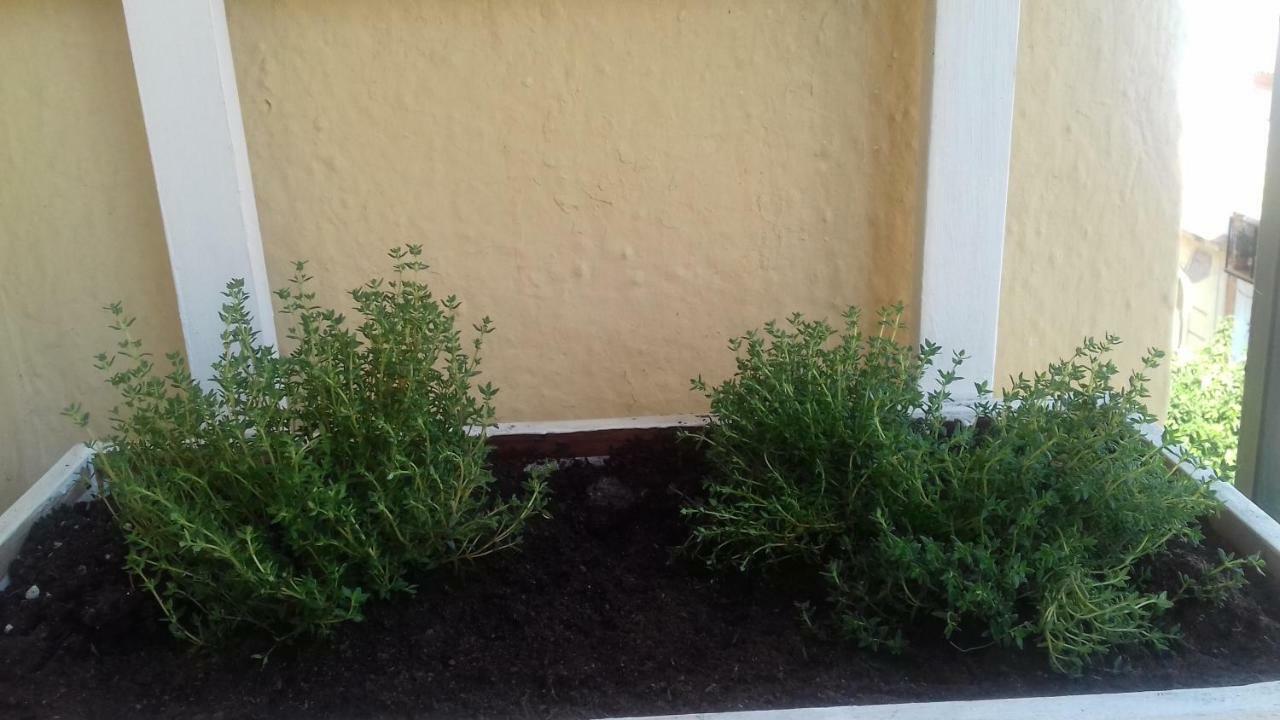 Piso En Cordoba Emili'S House 아파트 외부 사진